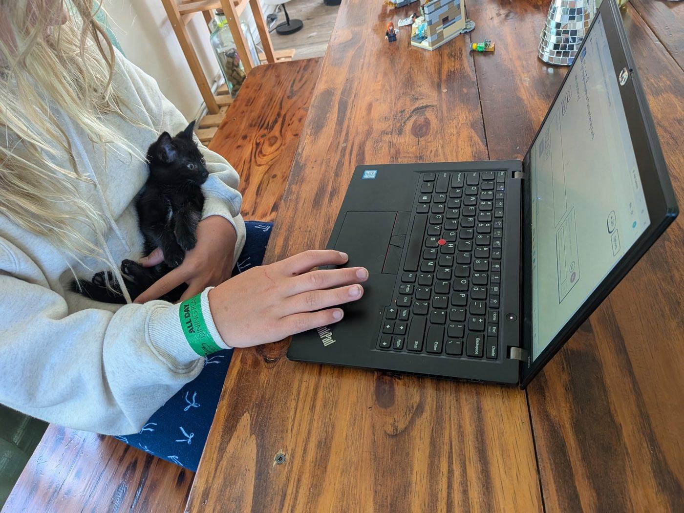 A child at the kitchen table working through a problem on a laptop, a kitten tucked in one arm.